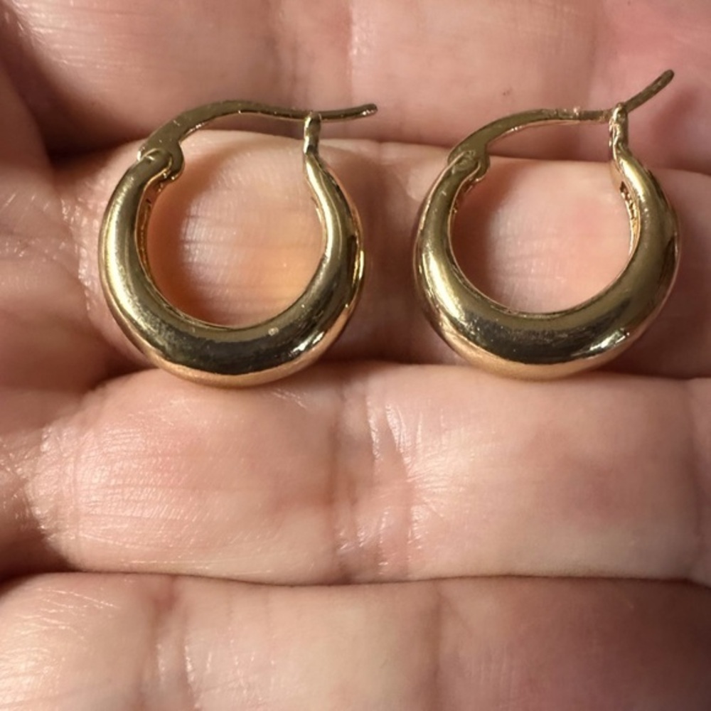 Becca Gold Hoop Hoops Earrings new